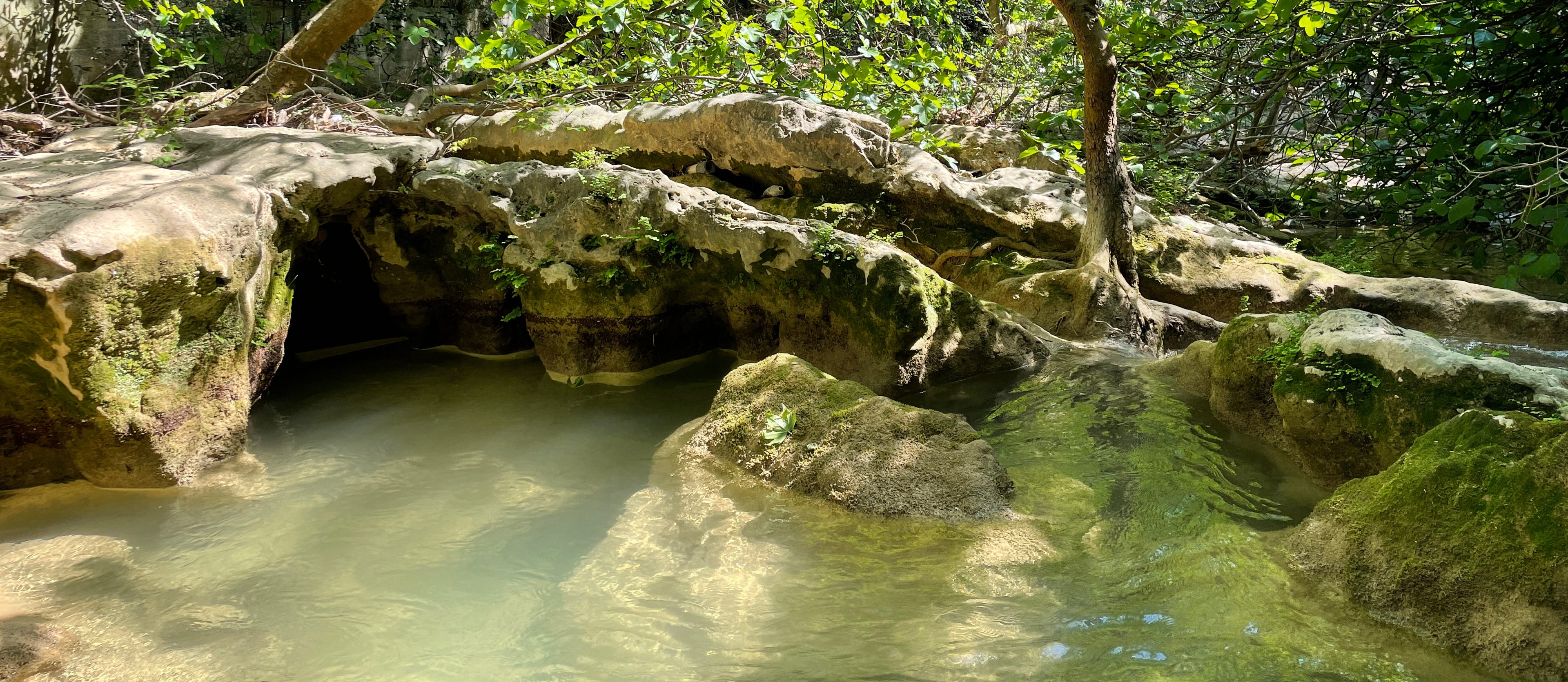 Rivière Neuve Toulon Var France