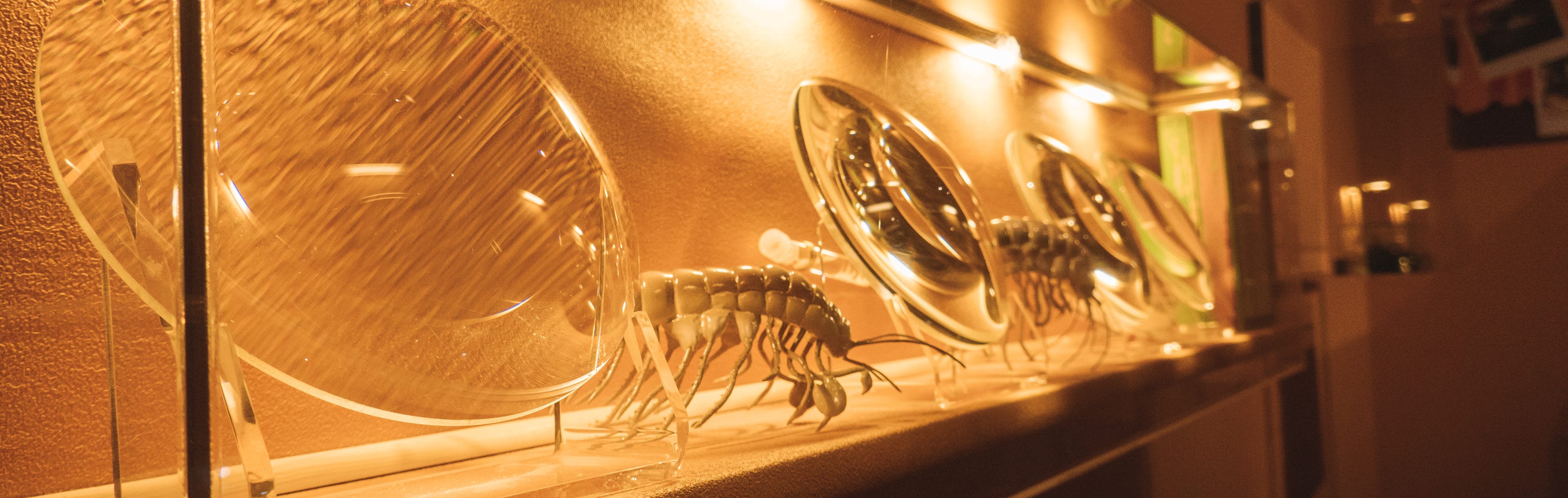 Exposition : Le Las : un fleuve et des hommes